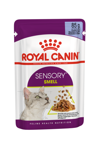 Sensory Smell (in jelly)